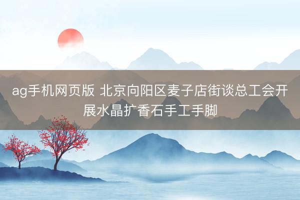 ag手机网页版 北京向阳区麦子店街谈总工会开展水晶扩香石手工手脚