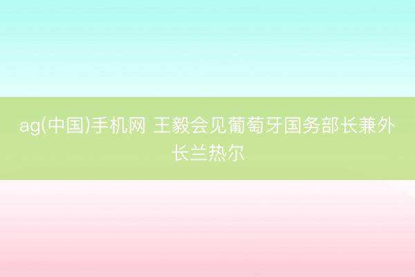 ag(中国)手机网 王毅会见葡萄牙国务部长兼外长兰热尔