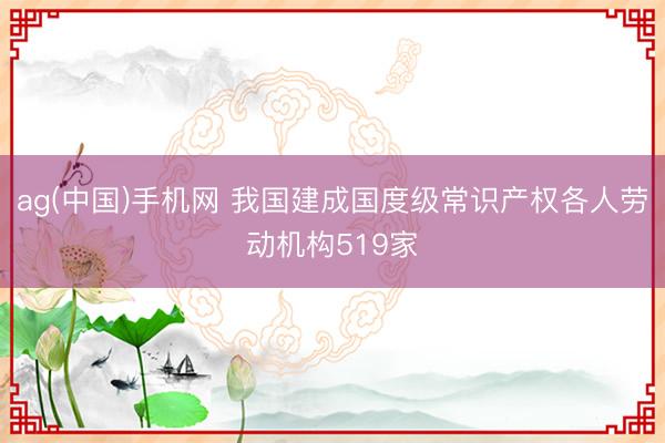 ag(中国)手机网 我国建成国度级常识产权各人劳动机构519家