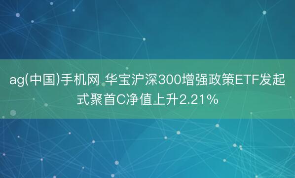 ag(中国)手机网 华宝沪深300增强政策ETF发起式聚首C净值上升2.21%