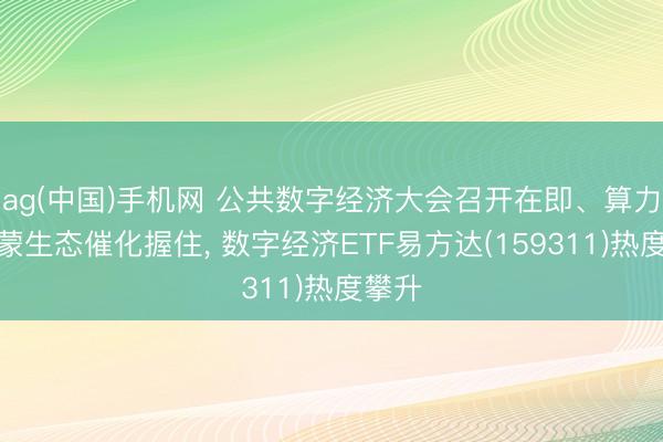 ag(中国)手机网 公共数字经济大会召开在即、算力与鸿蒙生态催化握住, 数字经济ETF易方达(159311)热度攀升