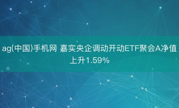ag(中国)手机网 嘉实央企调动开动ETF聚会A净值上升1.59%