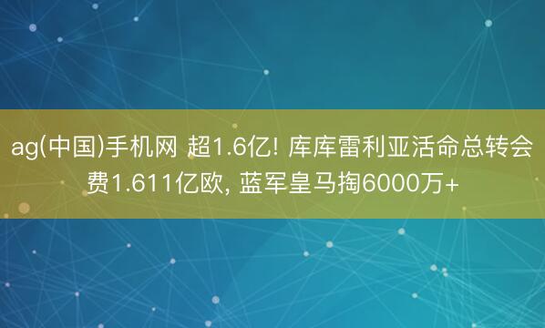 ag(中国)手机网 超1.6亿! 库库雷利亚活命总转会费1.611亿欧， 蓝军皇马掏6000万+
