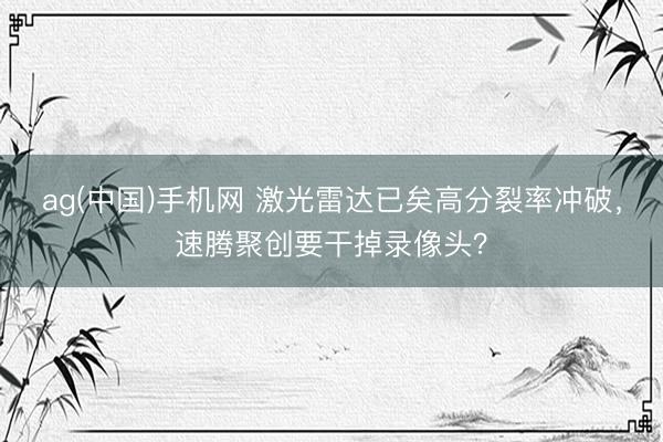 ag(中国)手机网 激光雷达已矣高分裂率冲破,速腾聚创要干掉录像头?