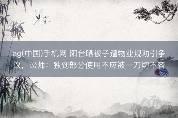 ag(中国)手机网 阳台晒被子遭物业规劝引争议,讼师:独到部分使用不应被一刀切不容